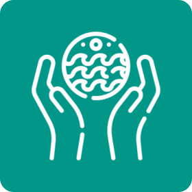 Hands holding globe with wavy patterns.